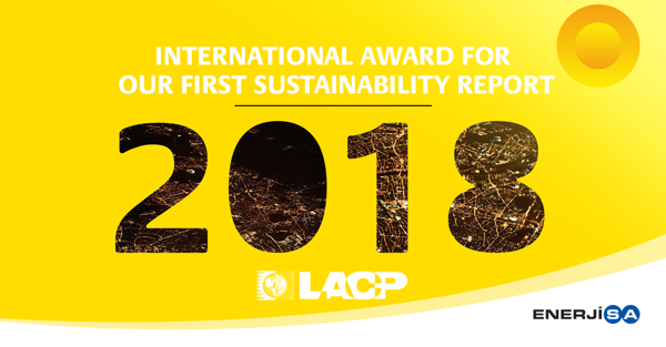 International Award for the First Sustainability Report of Enerjisa Enerji